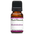 Rhododendron Essential Oil (Rhododendron anthopogon)