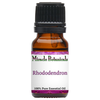 Rhododendron Essential Oil (Rhododendron anthopogon)