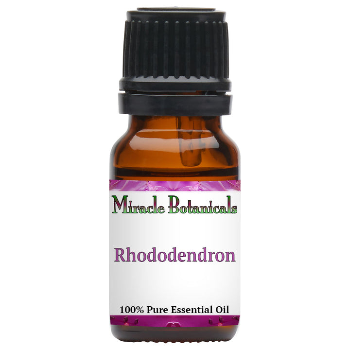 Rhododendron Essential Oil (Rhododendron anthopogon)
