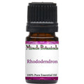 Rhododendron Essential Oil (Rhododendron anthopogon)