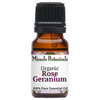 Rose Geranium Essential Oil - Organic (Pelargonium Graveleons var. Roseum)
