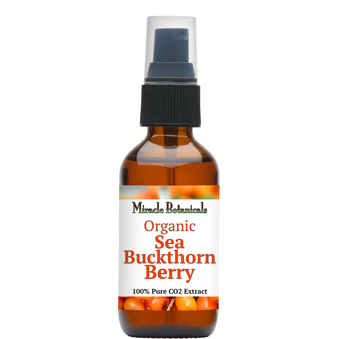 Sea Buckthorn Berries (Organic) - CO2 Total Extract (Hippophae Rhamnoides) - Miracle Botanicals Essential Oils