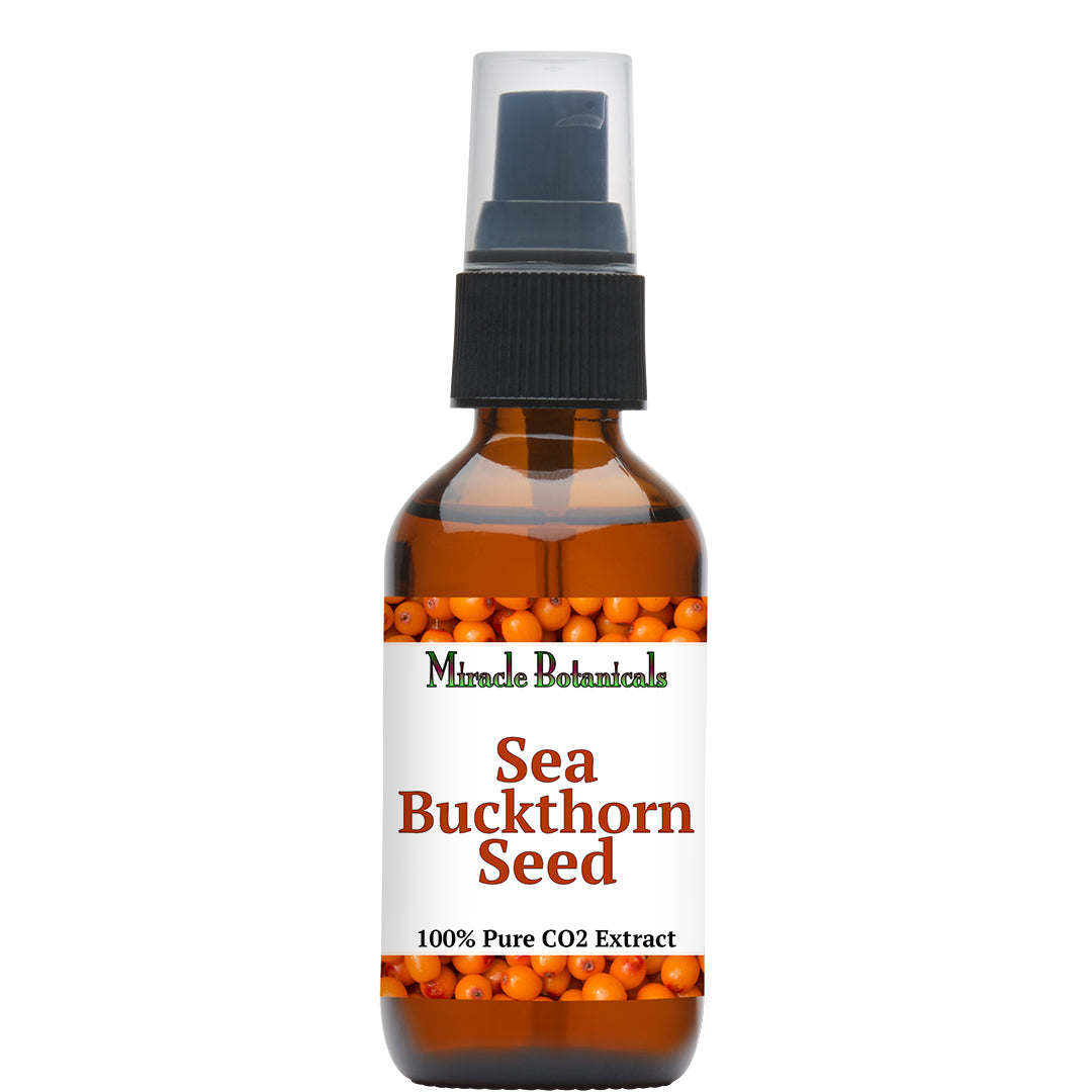 Sea Buckthorn Seed - CO2 Total Extract (Hippophae Rhamnoides) - Miracle Botanicals Essential Oils