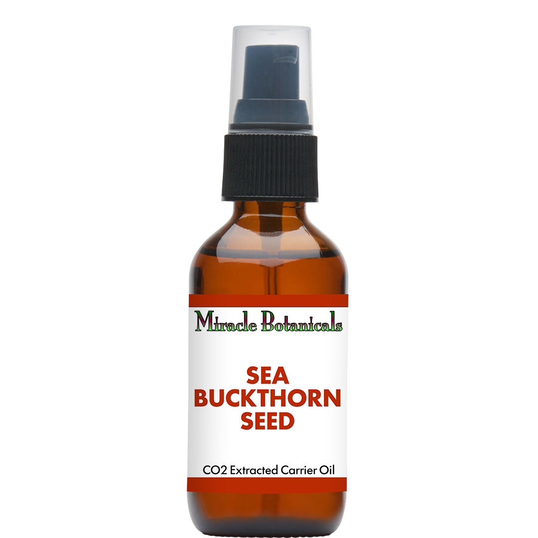 Sea Buckthorn Seed - CO2 Total Extract (Hippophae Rhamnoides) - Miracle Botanicals Essential Oils