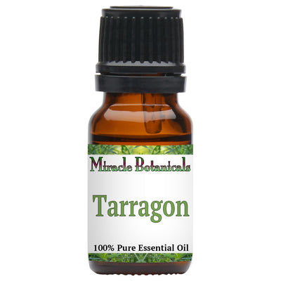 Tarragon Essential Oil (Artemisia Dracunculus)