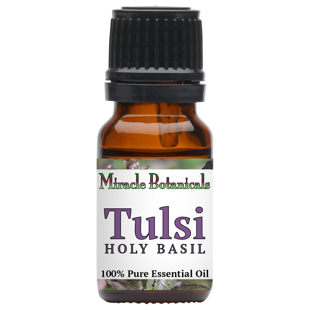 Basil (Holy Basil - Tulsi) Essential Oil (Ocimum Sanctum)