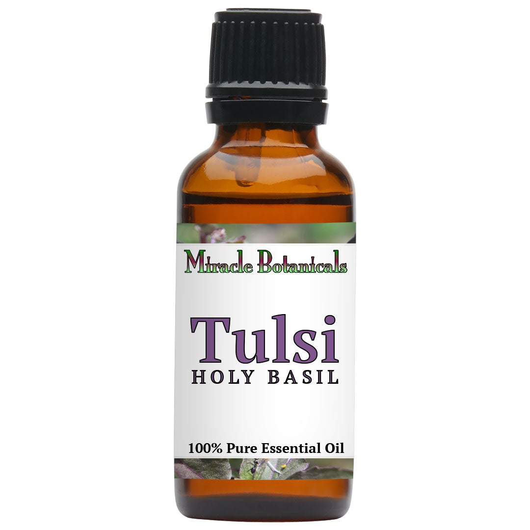 Basil (Holy Basil - Tulsi) Essential Oil (Ocimum Sanctum)
