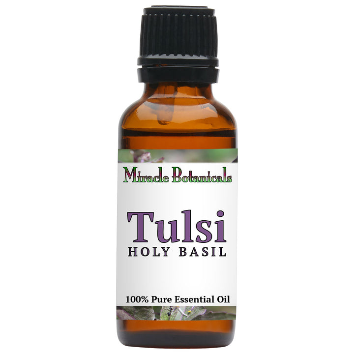 Basil (Holy Basil - Tulsi) Essential Oil (Ocimum Sanctum)