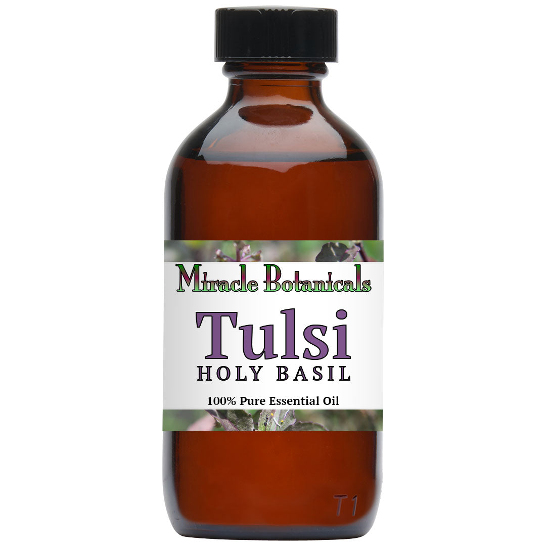 Basil (Holy Basil - Tulsi) Essential Oil (Ocimum Sanctum)
