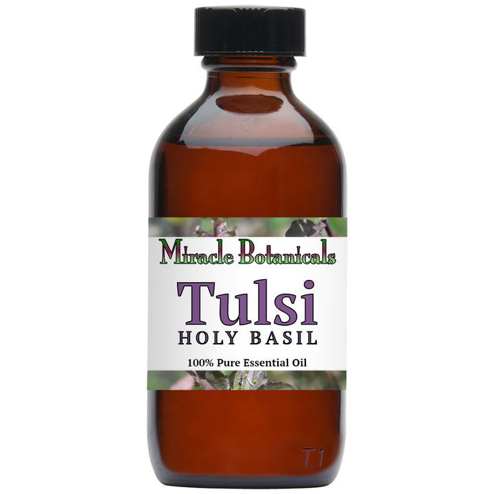 Basil (Holy Basil - Tulsi) Essential Oil (Ocimum Sanctum)