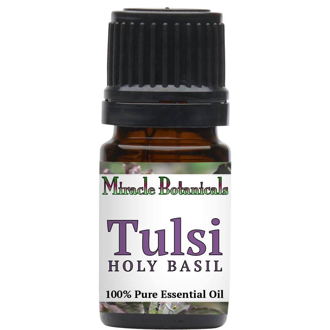 Basil (Holy Basil - Tulsi) Essential Oil (Ocimum Sanctum)