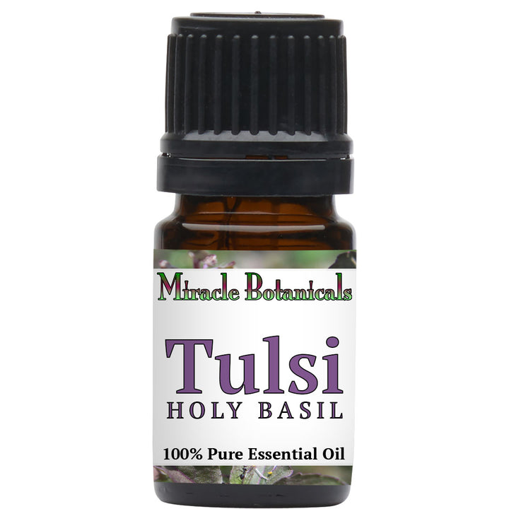 Basil (Holy Basil - Tulsi) Essential Oil (Ocimum Sanctum)