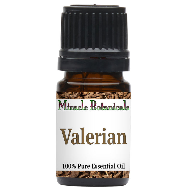 Valerian Root Essential Oil - Wildcrafted (Valeriana Officinalis)