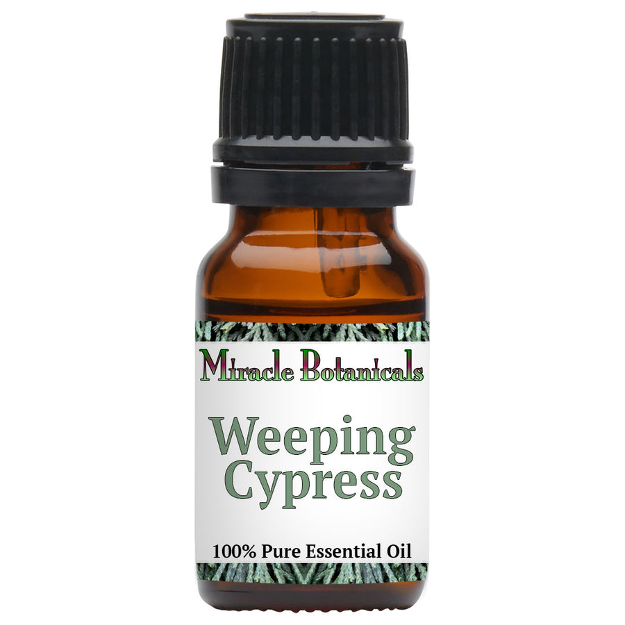 Cypress (Weeping) Essential Oil (Cupressus Funebris)