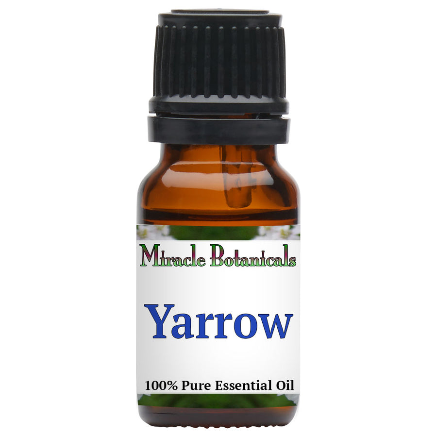Yarrow Essential Oil (Achillea Millefolium)