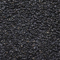 Black Cumin Seed (Organic) - CO2 Total Extract (Nigella Sativa) - Miracle Botanicals Essential Oils
