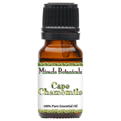 Chamomile (Cape) Essential Oil - (Eriocephalus Punctulatus)