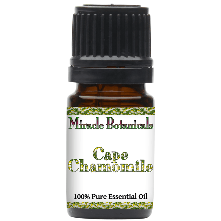 Chamomile (Cape) Essential Oil - (Eriocephalus Punctulatus) - Miracle Botanicals Essential Oils