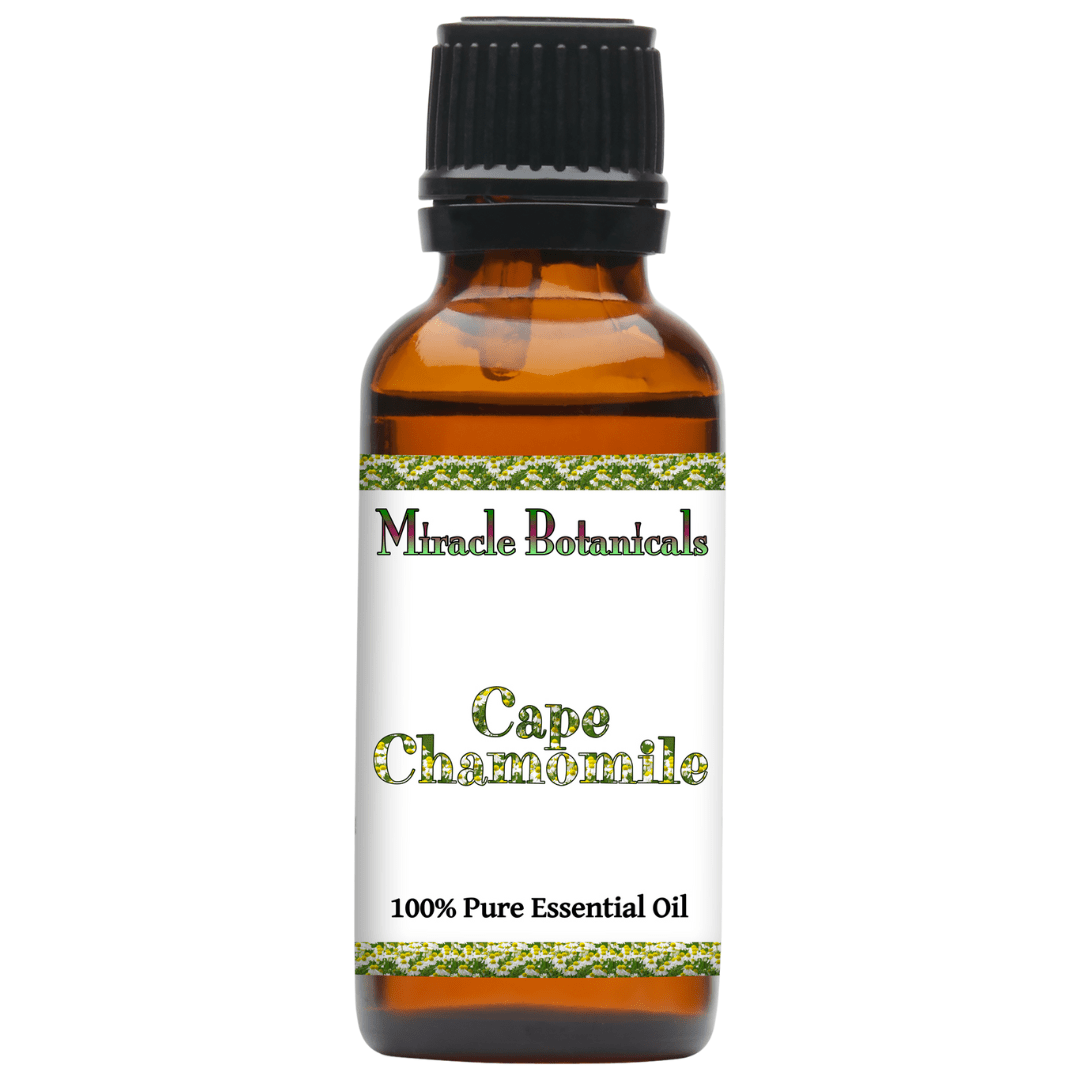 Chamomile (Cape) Essential Oil - (Eriocephalus Punctulatus) - Miracle Botanicals Essential Oils