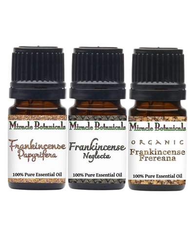 Rare Frankincense Essential Oil Set - Frankincense Trifecta Sampler