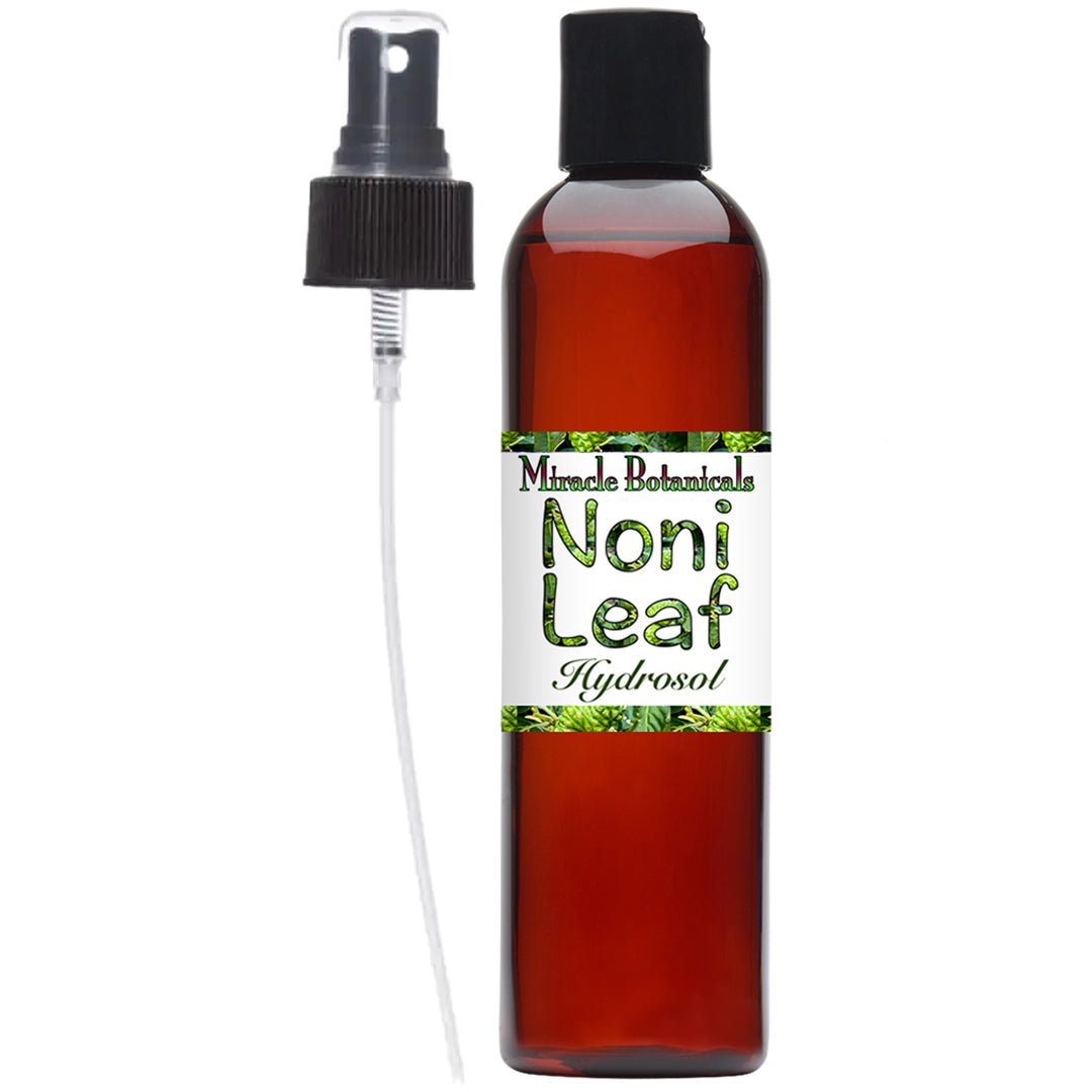 Noni Leaf (Hawaiian) Hydrosol - Wildcrafted (Morinda Citrifolia) - Miracle Botanicals Essential Oils