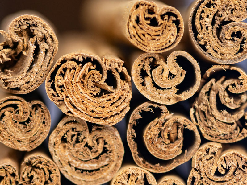 Cinnamon Bark Essential Oil - CO2 Extracted (Cinnamomum Zeylanicum) - Ceylon Cinnamon