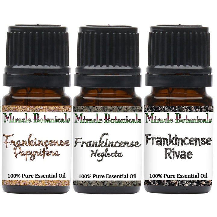 Rare Frankincense Essential Oil Set - Frankincense Trifecta Sampler