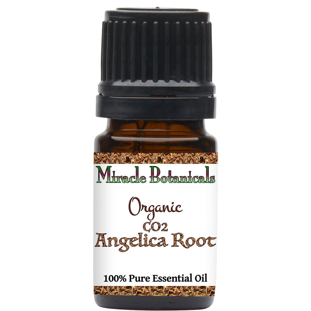 angelica root essential oil organic co2 extracted angelica archangelica 103114