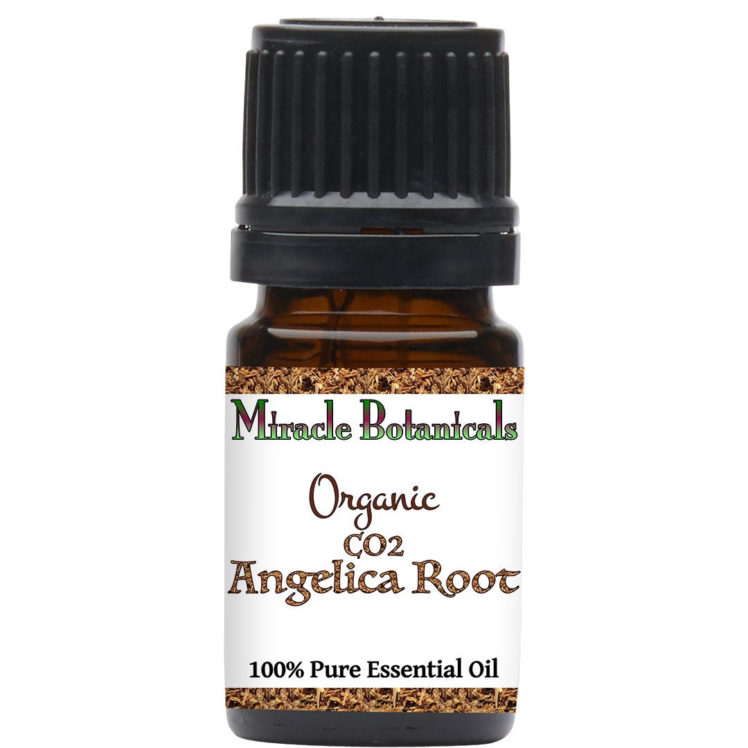 Angelica Root Essential Oil - Organic - CO2 Extracted (Angelica Archangelica) - Miracle Botanicals Essential Oils