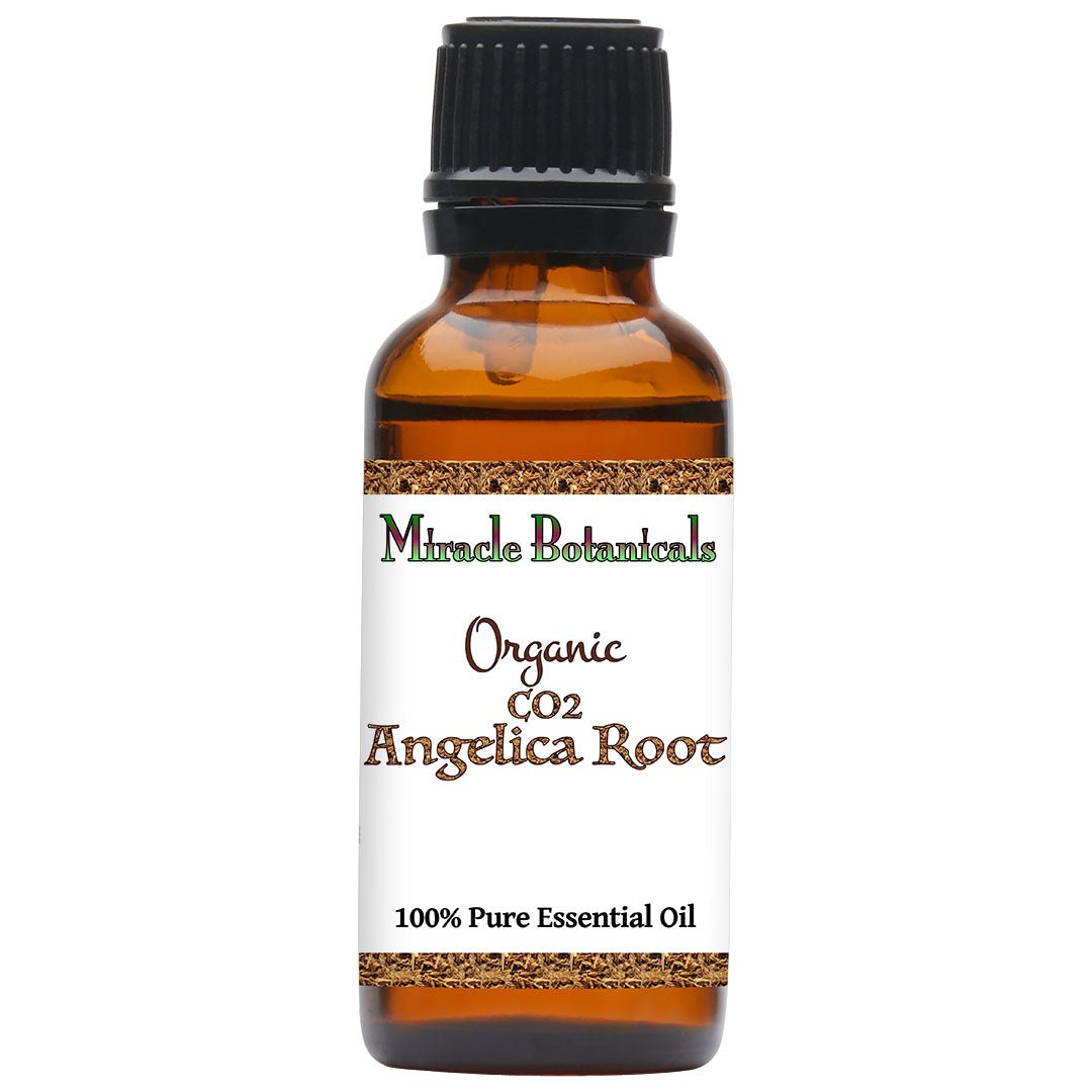 Angelica Root Essential Oil - Organic - CO2 Extracted (Angelica Archangelica) - Miracle Botanicals Essential Oils