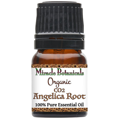 Angelica Root Essential Oil - Organic - CO2 Extracted (Angelica Archangelica) - Miracle Botanicals Essential Oils