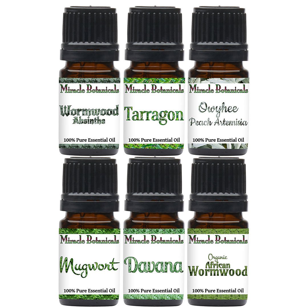 Artemisia Essential Oil Sampler Set - Miracle Botanicals Essential Oils