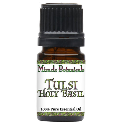 Basil (Tulsi Holy) Essential Oil (Ocimum Basilicum) - Miracle Botanicals Essential Oils