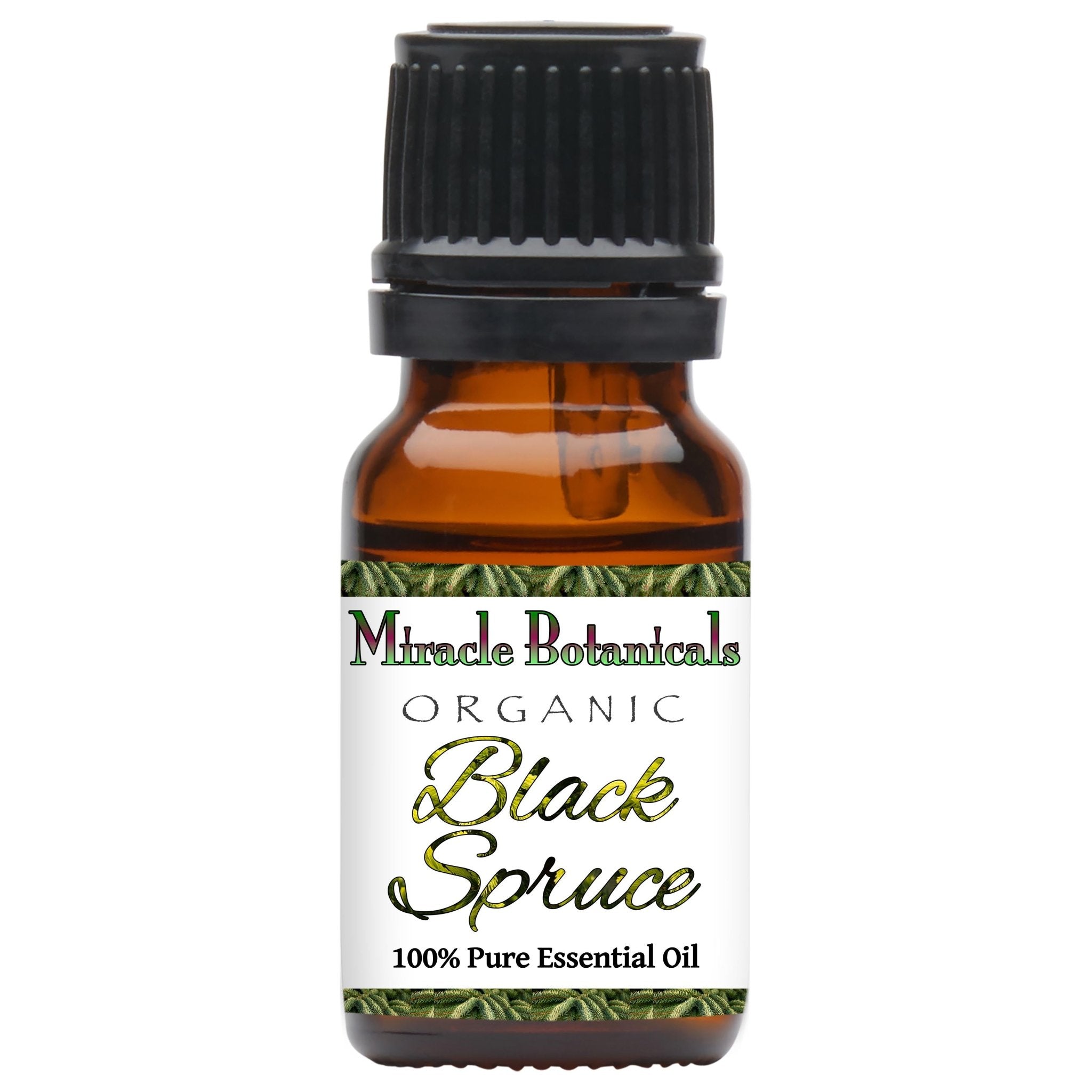 Black Spruce Essential Oil - Organic (Picea Mariana) - Miracle Botanicals Essential Oils