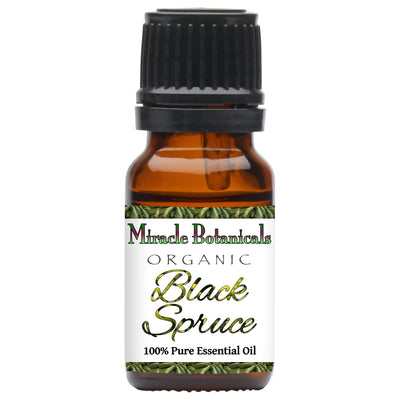 Black Spruce Essential Oil - Organic (Picea Mariana)