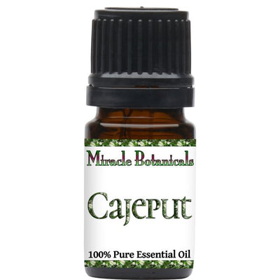 Cajeput Essential Oil (Melaleuca Cajuputi Powell) - Miracle Botanicals Essential Oils