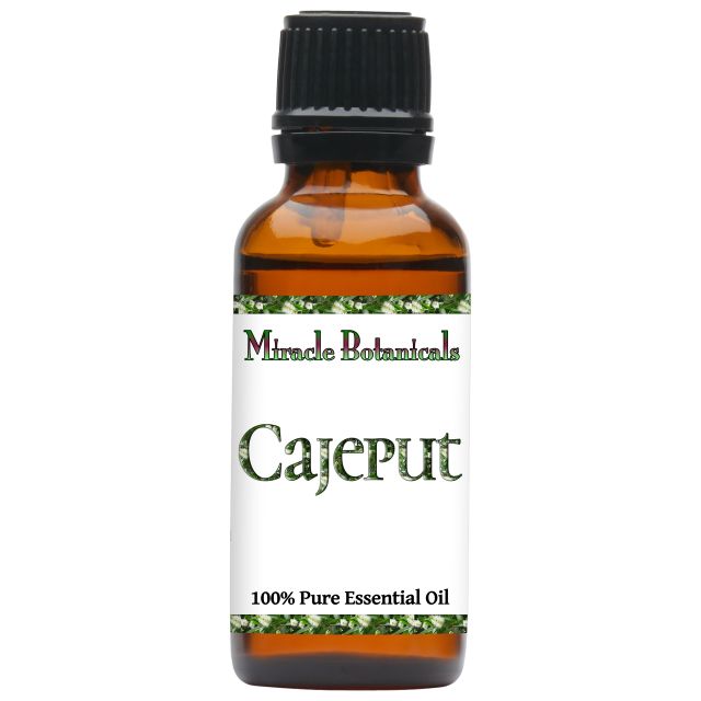 Cajeput Essential Oil (Melaleuca Cajuputi Powell) - Miracle Botanicals Essential Oils