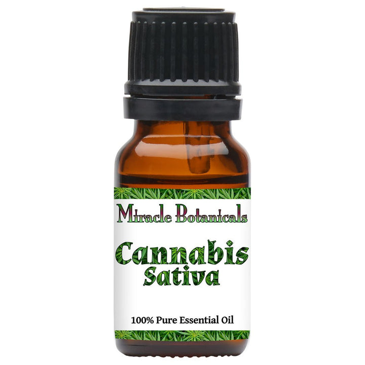Cannabis Sativa Essential Oil (Cannabis Sativa)