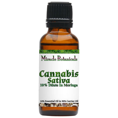 Cannabis Sativa Essential Oil (Cannabis Sativa) - Miracle Botanicals Essential Oils