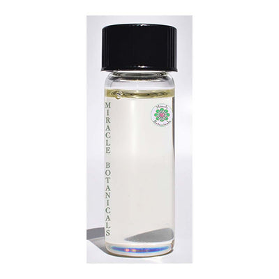 Caraway Seed Essential Oil (Carum Carvi) - Miracle Botanicals Essential Oils