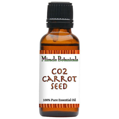 Carrot Seed Essential Oil - CO2 Extracted (Daucus Carota) - Miracle Botanicals Essential Oils