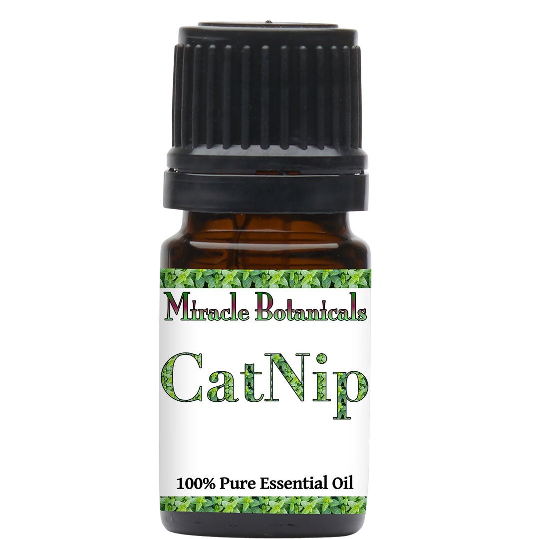 Catnip Essential Oil (Nepeta Cataria) - Miracle Botanicals Essential Oils