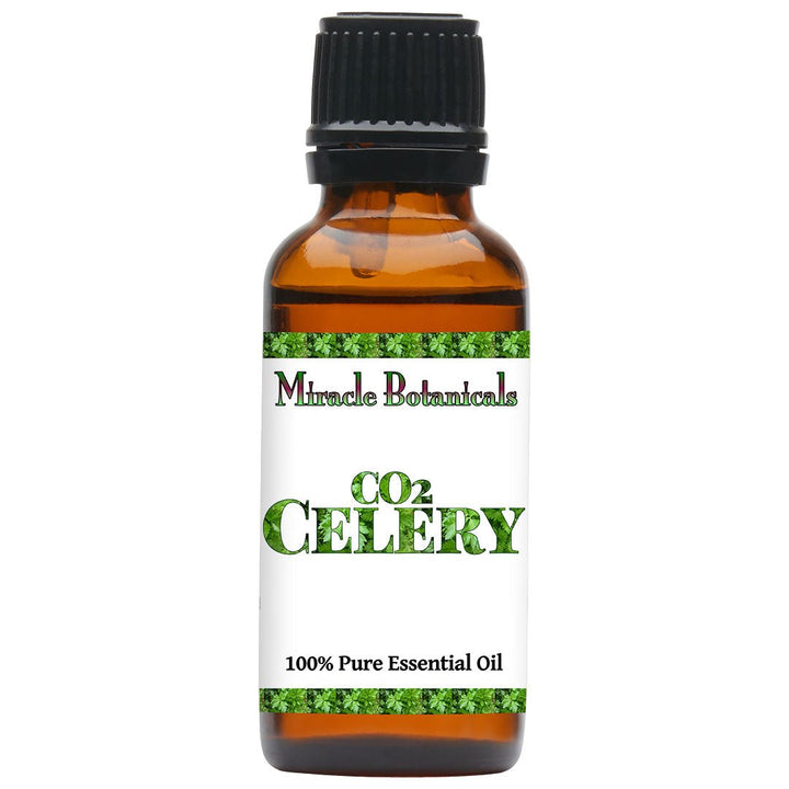 Celery Essential Oil - CO2 Extracted (Apium Graveolens) - Miracle Botanicals Essential Oils