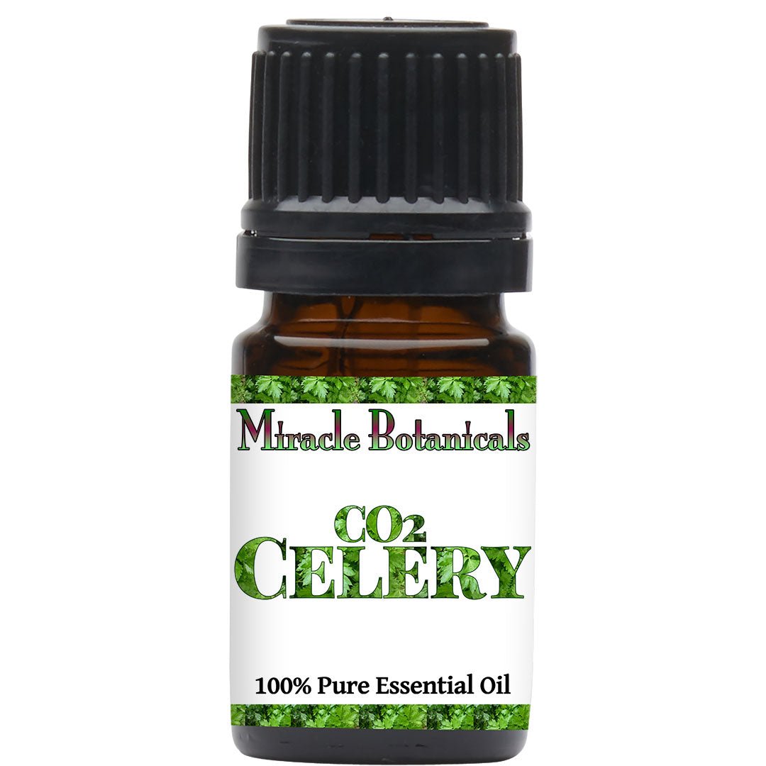 Celery Essential Oil - CO2 Extracted (Apium Graveolens) - Miracle Botanicals Essential Oils