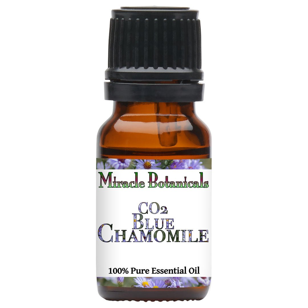 Chamomile (Blue) Essential Oil - Co2 Extracted German Chamomile (Matricaria Chamomilla) - Miracle Botanicals Essential Oils