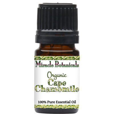 Chamomile (Cape) Essential Oil - Organic (Eriocephalus Punctulatus) - Miracle Botanicals Essential Oils