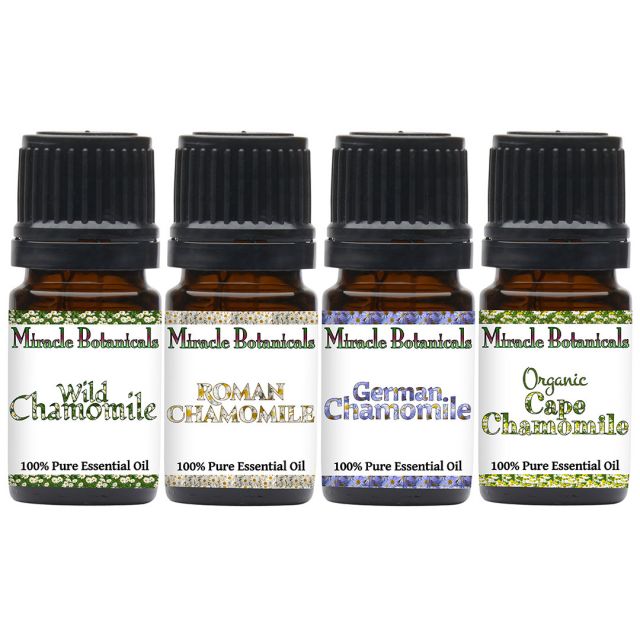 Chamomile Essential Oil Sampler Set - 100% Pure Essential Oils of 4 Fine Species of Chamomile