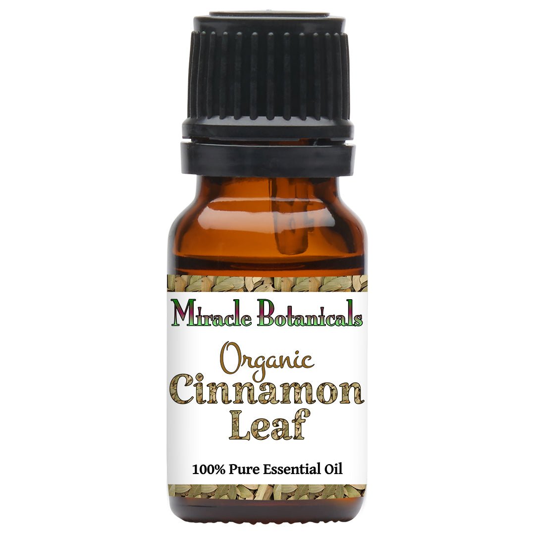 Cinnamon Leaf Essential Oil - Organic (Cinnamomum Zeylanicum Blume) - Miracle Botanicals Essential Oils