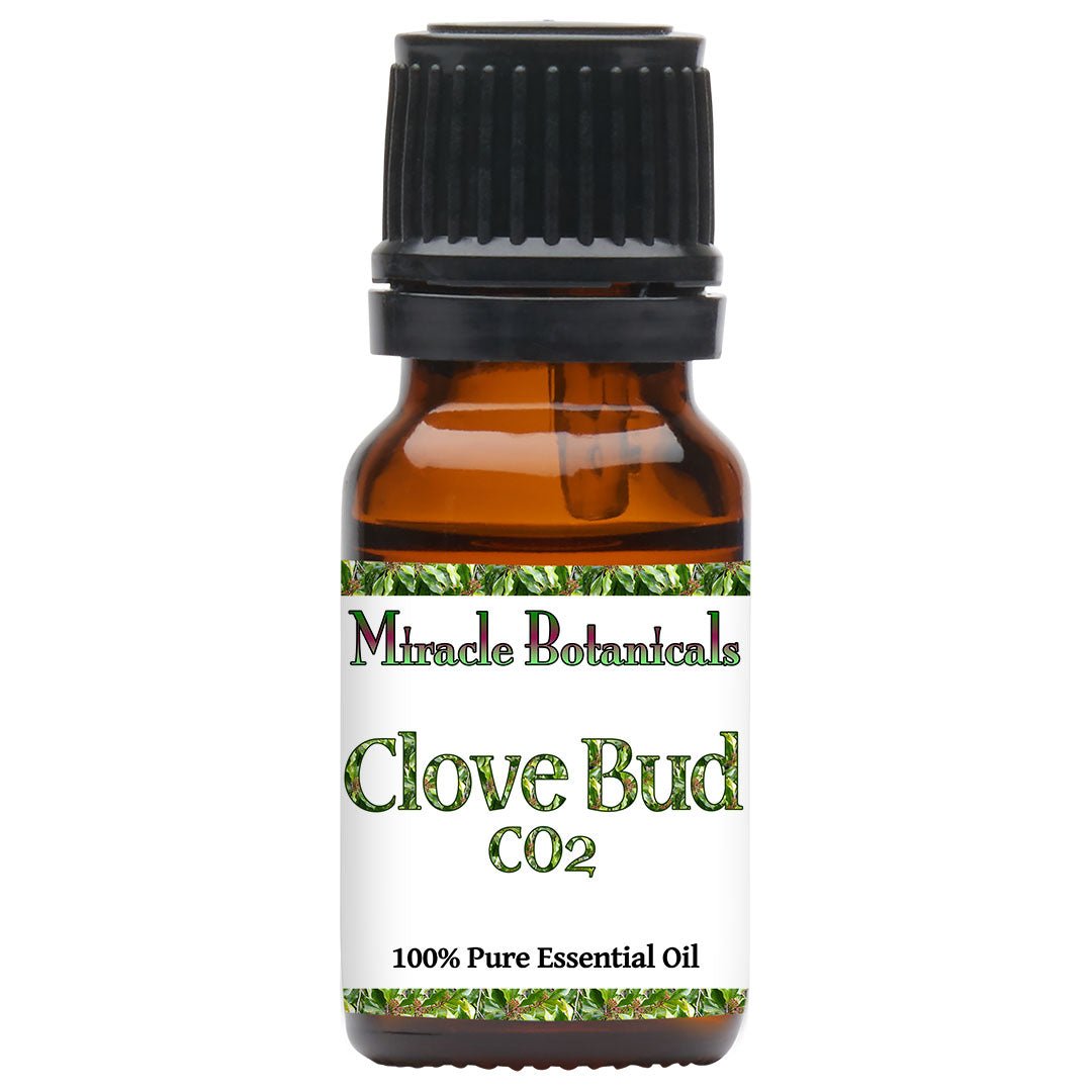 Clove Bud Essential Oil - CO2 Extracted (Eugenia Caryophyllata) - Miracle Botanicals Essential Oils