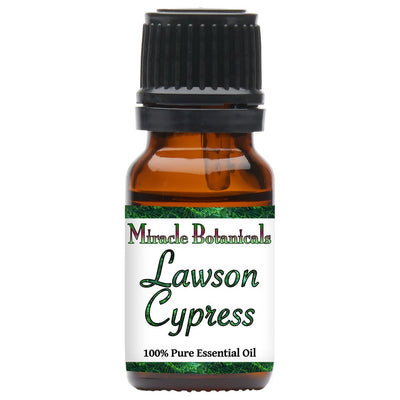 Cypress (Lawson) Essential Oil (Chamaecyparis Lawsoniana) - Miracle Botanicals Essential Oils
